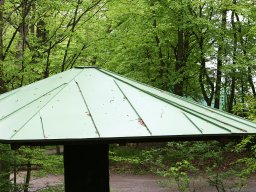 wildpark-schweinfurt03